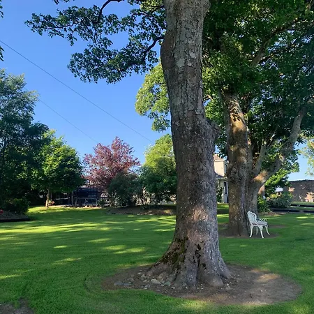 Town View * キラーニー