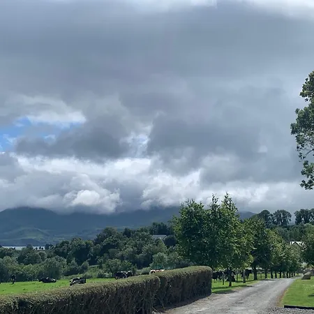 Town View Килларни